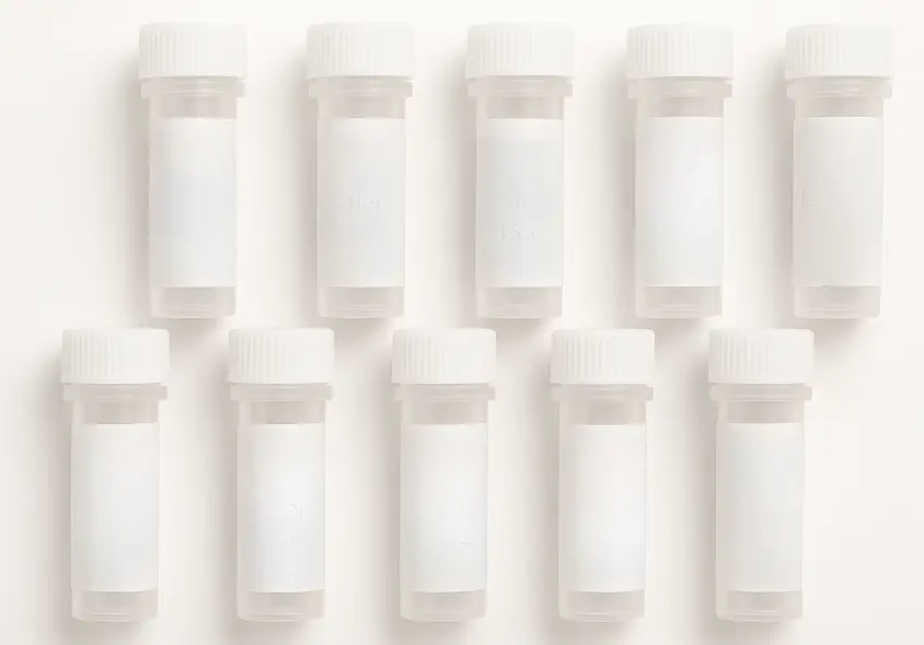 BCKDHA 293T Cell Transient Overexpression Lysate(Denatured)