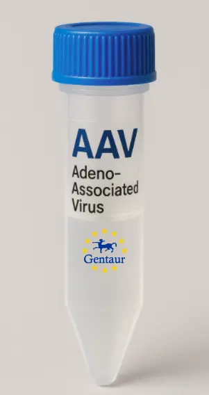 BCDIN3D AAV Vector (Mouse) (CMV)